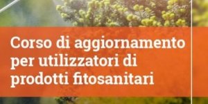 'Corso di AGGIORNAMENTO per l'acquisto e utilizzo dei prodotti fitosanitari. 8 ore FAD + 4 ore video conferenza (Il percorso sarà considerato completo solo dopo la lezione conclusiva in video conferenza di  4 ore)'